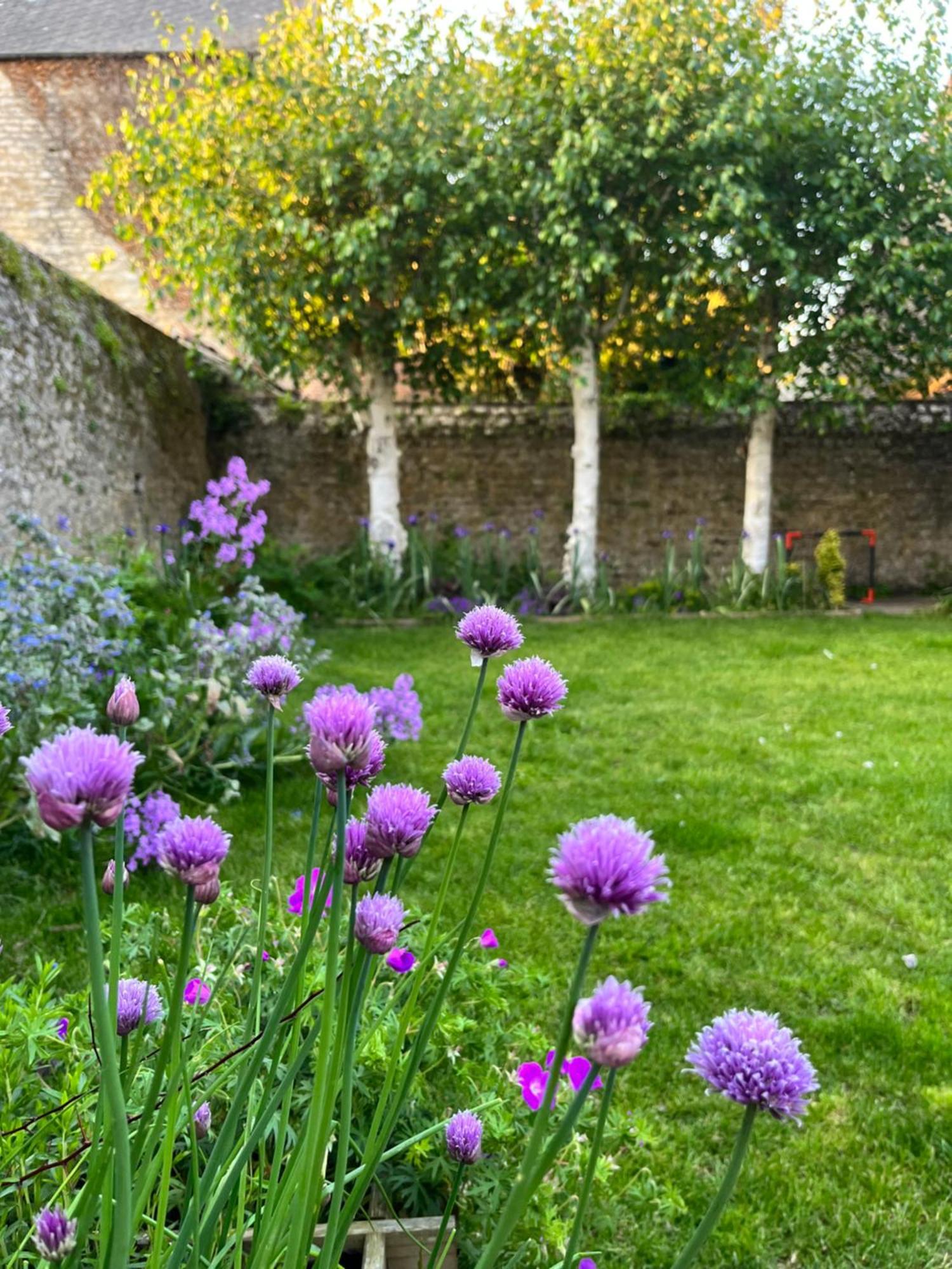 Maison Chaleureuse Avec Jardin - Pause Normande Се Экстерьер фото