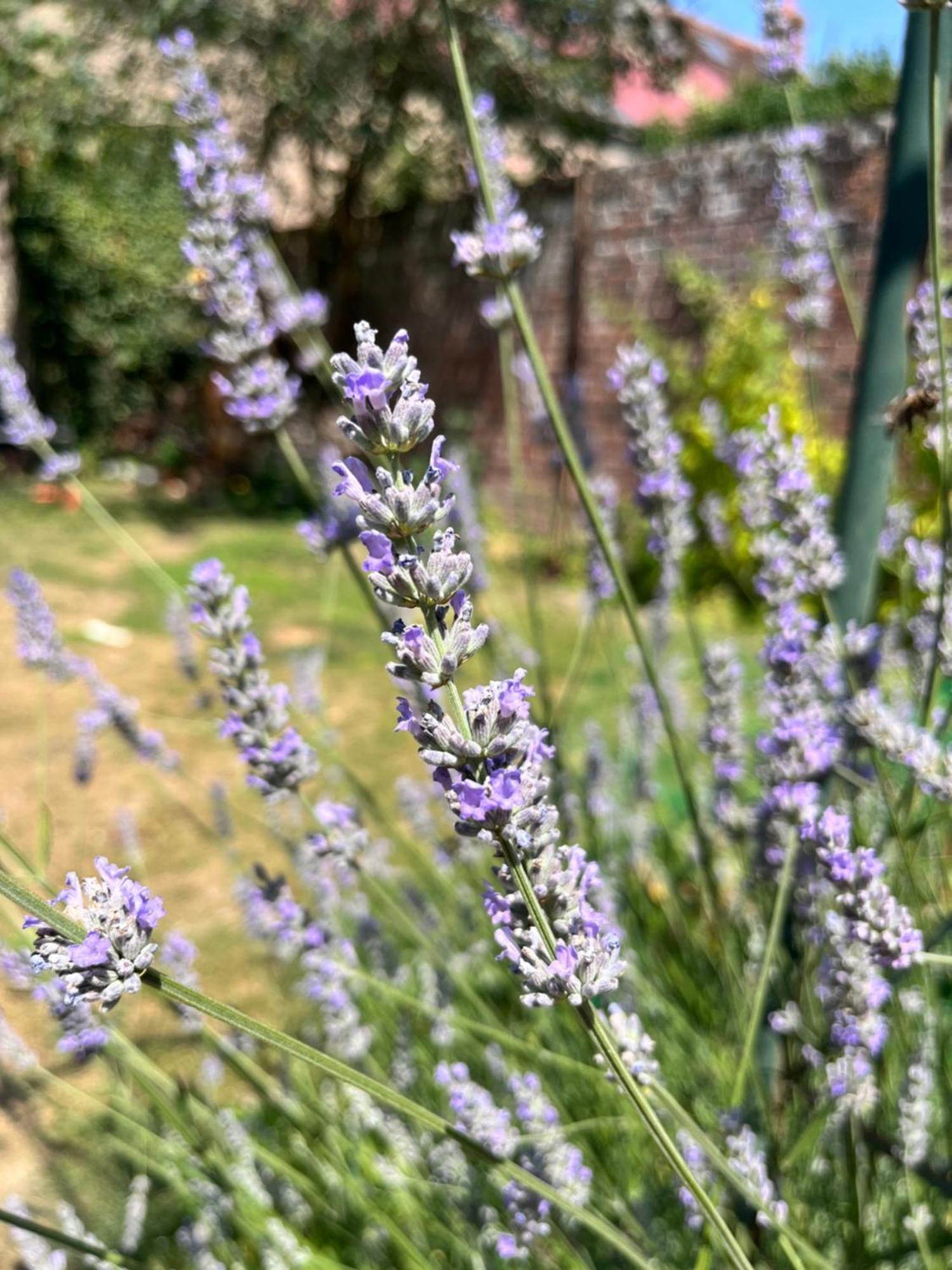 Maison Chaleureuse Avec Jardin - Pause Normande Се Экстерьер фото